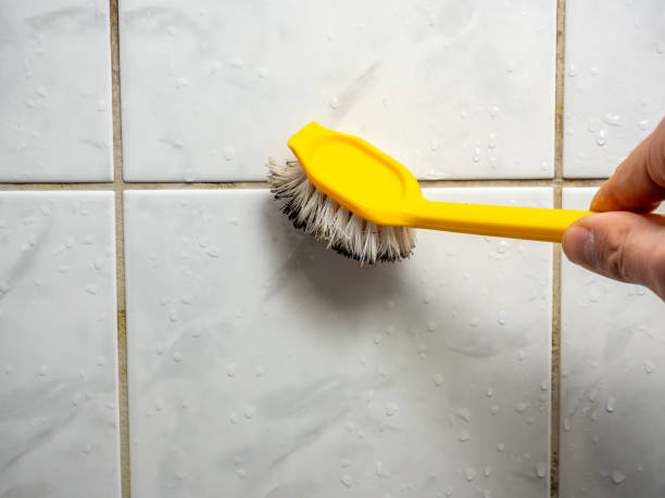 Best Commercial Mold Removal  in Warm Springs, CA