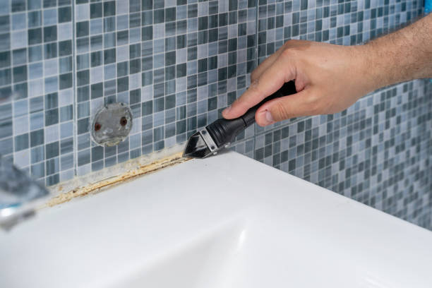 Best Residential Mold Removal  in Warm Springs, CA