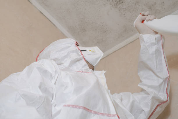 Best Mold Cleaning Services  in Warm Springs, CA