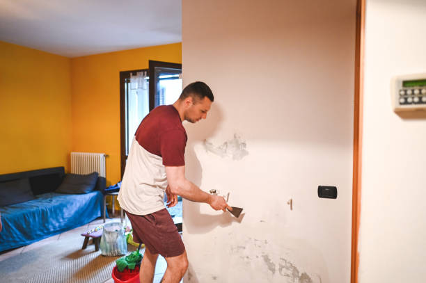 Best Water Damage Restoration  in Warm Springs, CA